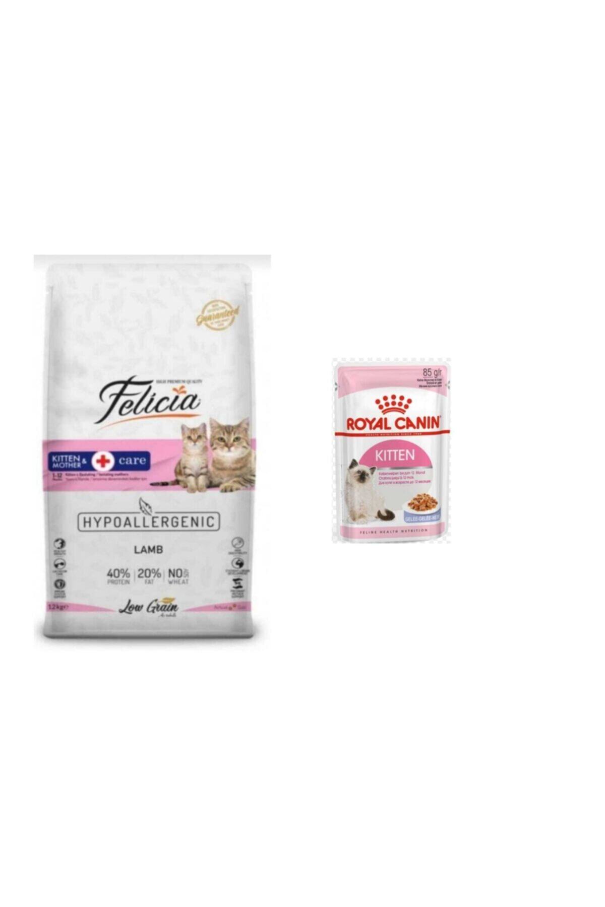 Felicia kuzulu Kitten & Mother 12 kg + Royal Canin Kitten Pouch Yaş Mama 85 gr