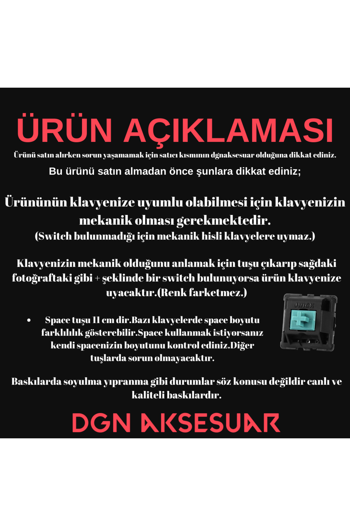 1_org_zoom.jpg