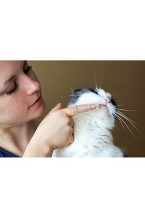 Bebeklere Kedi Ve Köpeklere Uygun Şeffaf Kapaklı Silikon Parmak Fırça Image 3