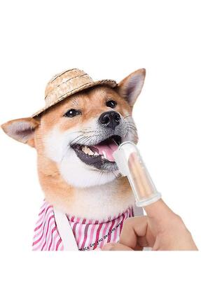 Bebeklere Kedi Ve Köpeklere Uygun Şeffaf Kapaklı Silikon Parmak Fırça Image 4