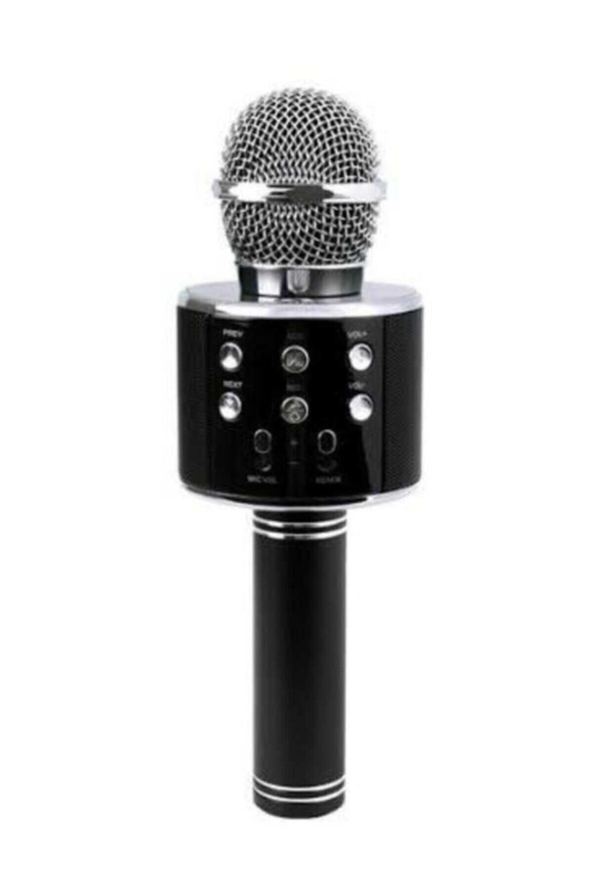 Wster Karaoke Mikrofon Bluetooth Usb