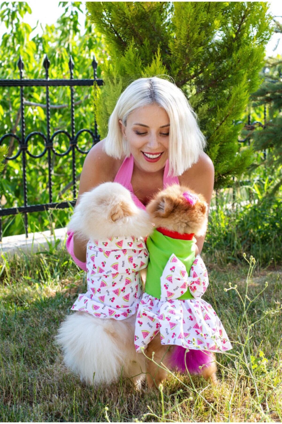 Pomizmirstore Karpuz-kiraz Yeşil Kedi Köpek Elbise
