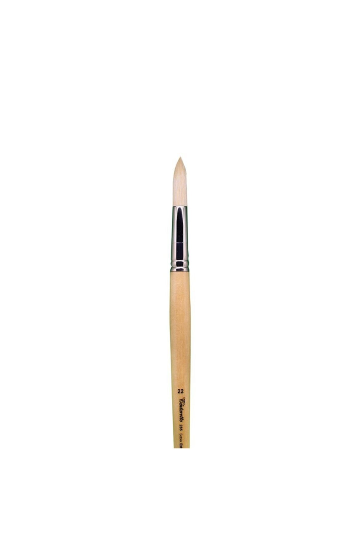 TINTORETTO Seri 285 N:22 Fırça