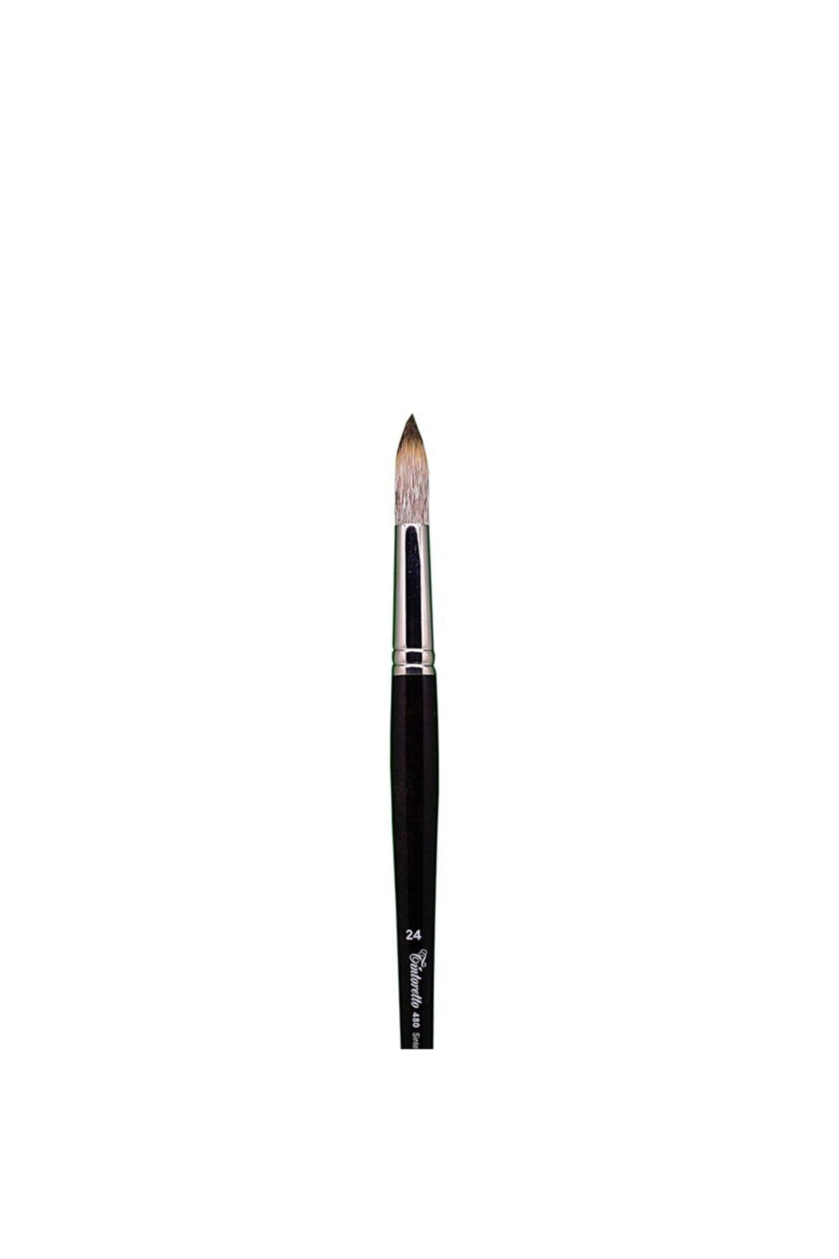 TINTORETTO Fırça Seri 480 N:24