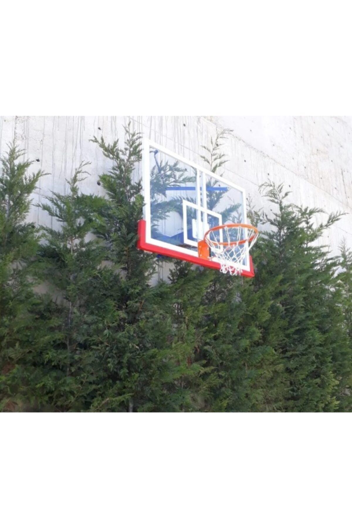 whiteface Duvara Monte Sabit Basketbol Potası Basic Model