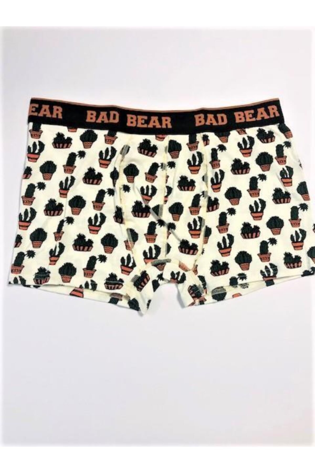 Bad Bear Erkek Cactus Boxer 21.01.03.003