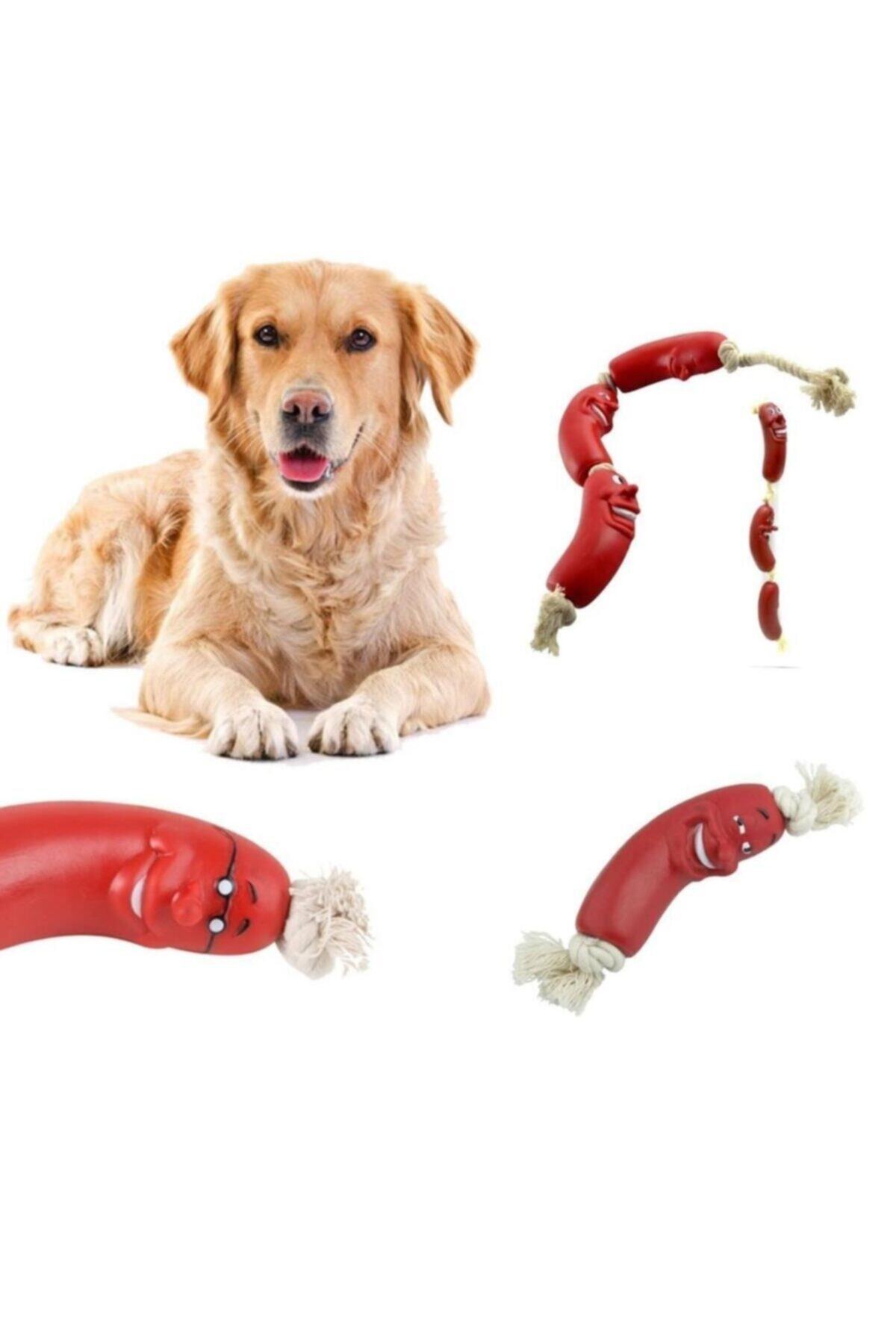 Neiçin Evcil Hayvan Kedi Köpek Için Eğitici Sevimli Oyuncak Sosis Seti 4adet