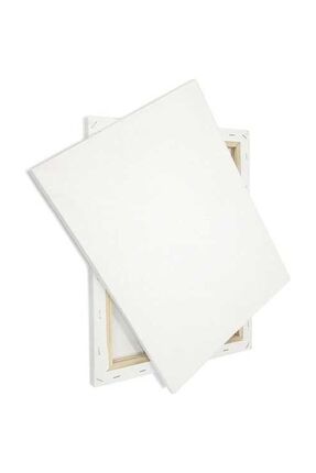 40x40cm Tuval '2 Adet Arkadan Zımbalı Yüksek Kaliteli Astarlı Hazır Tuval Boş Tuval Tablo Image 0