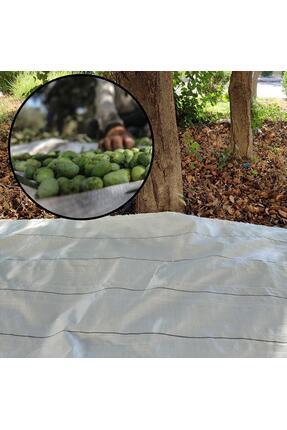 5X8 METRE ZEYTİN SERGENİ ZEYTİN TOPLAMA ÖRTÜSÜ FINDIK FISTIK DUT TOPLAMA FİLESİ BEYAZ HASAT TABAN ÖR Image 0
