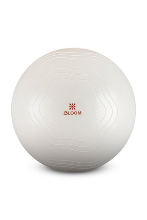 LB7051 65 Cm Pilates Topu Beyaz Image 0