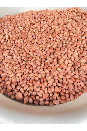 Kavrulmuş Iri Boy Iç Yer Fıstığı Tuzlu 2000gr (2KG) Image 0