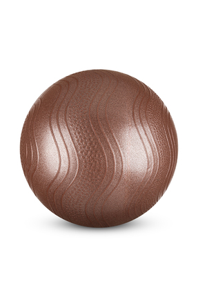 LB7001 25 Cm Mini Pilates Topu Kahverengi + Pompası Image 1