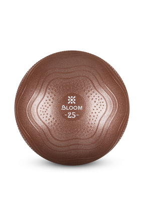 LB7001 25 Cm Mini Pilates Topu Kahverengi + Pompası Image 0