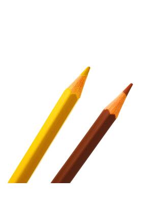 Kids Karton Kutu Tam Boy Kuru Boya 12 Renk 5 Adet Image 2