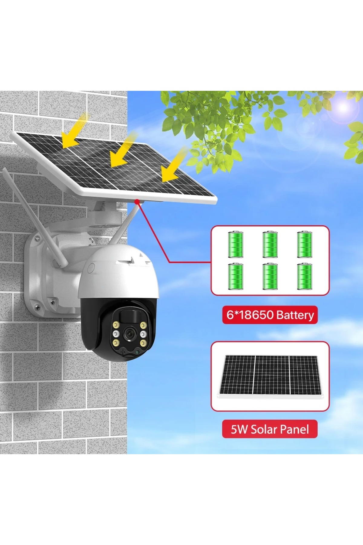 1_org_zoom.jpg