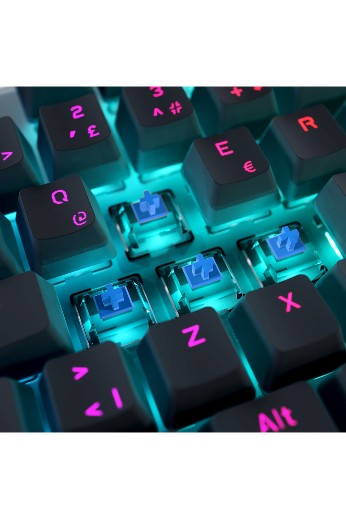 1_org_zoom.jpg