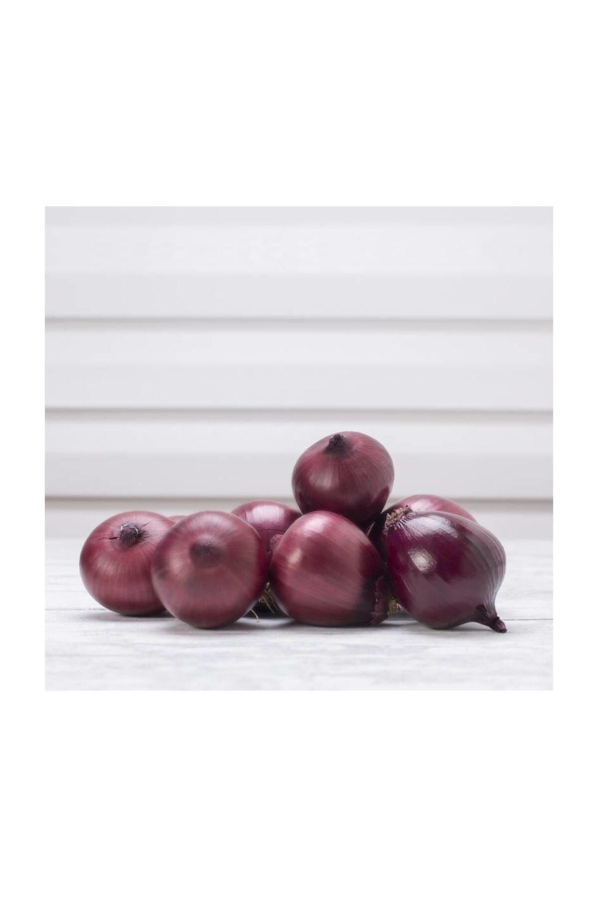 Bahçeden Kırmızı Soğan 1 kg