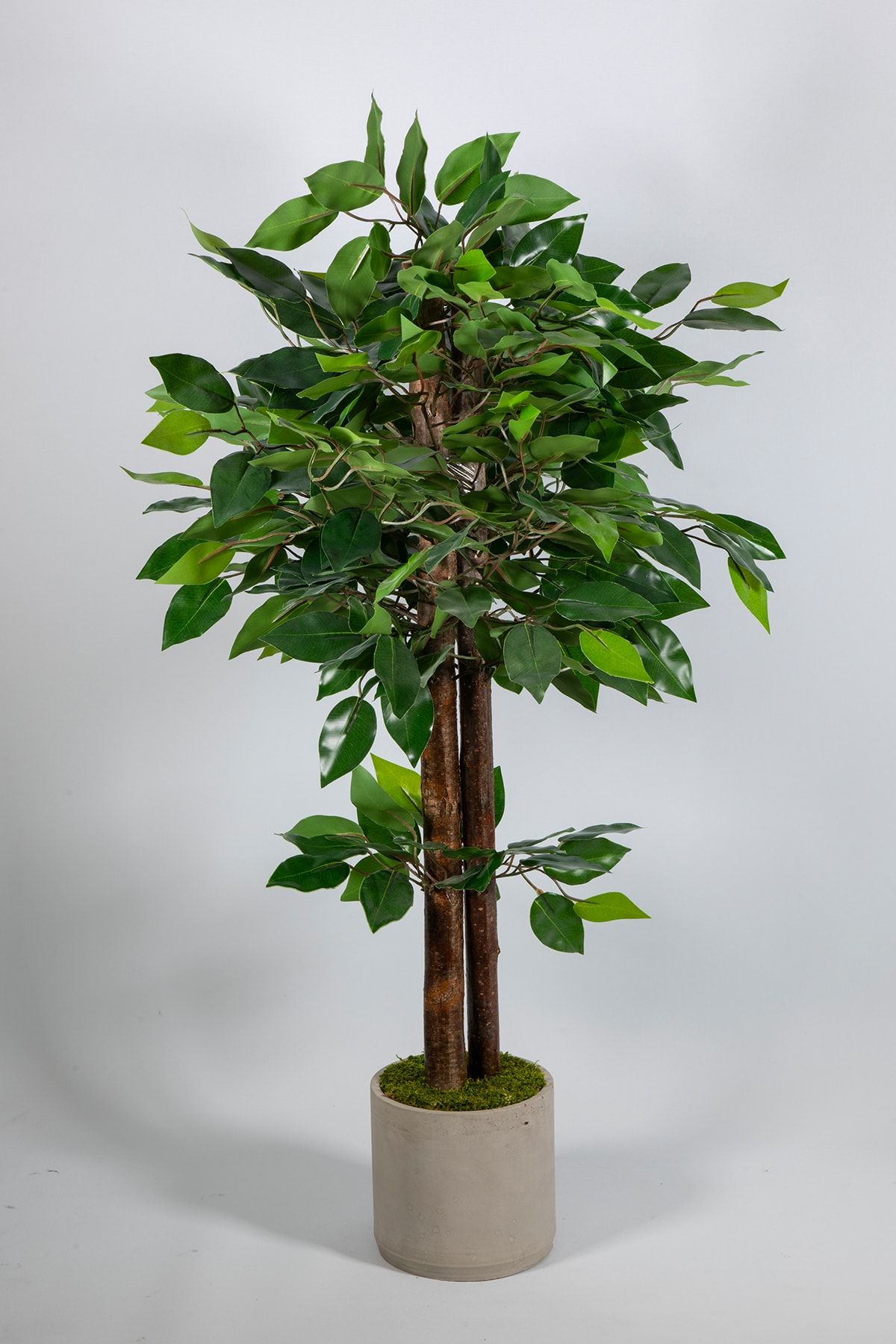 YAPAY ÇİÇEKÇİNİZ 100 Cm Yapay Benjamin Ağacı