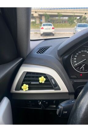 Oto Aksesuar Klima Süsü Mini Papatyalar Ikili Ve Oto Koku Hediyeli Yeşil Papatyalar Çiçekler Image 0