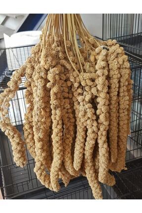 Sarı Dal Darı 500gr Image 0