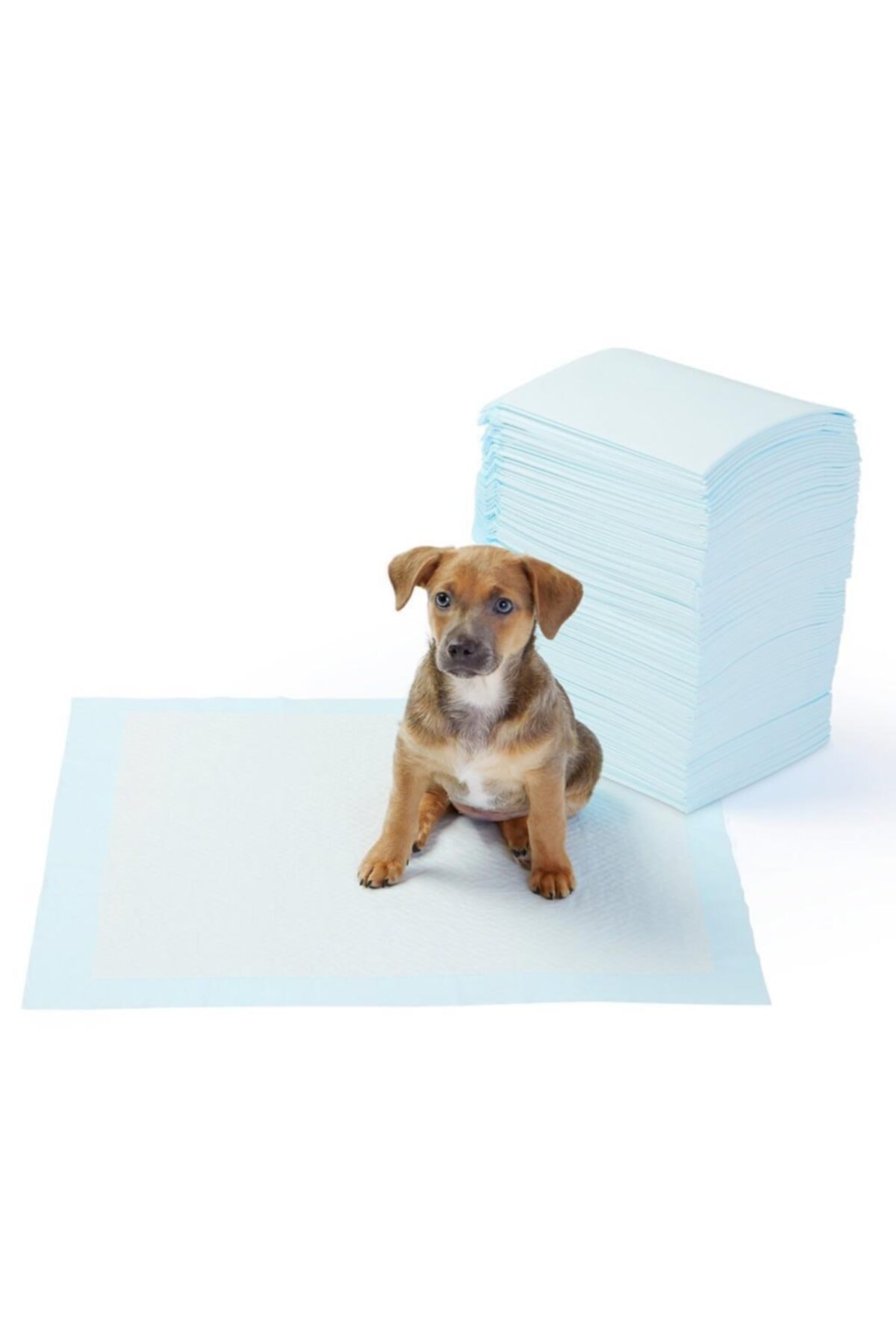Goodcare Kedi Köpek Çiş Eğitim Pedi 60x90 100 Adet