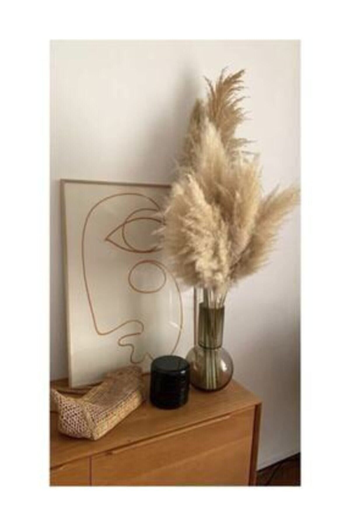 Mr fashion Naturel 10 Adet Doğal Pampas Otu 50 cm
