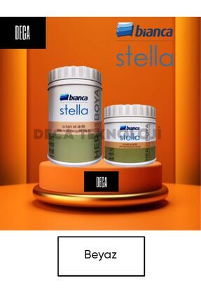 Stella Boya 1Lt Dolap-Fayans-Cam-Plastik-Ahşap Image 0