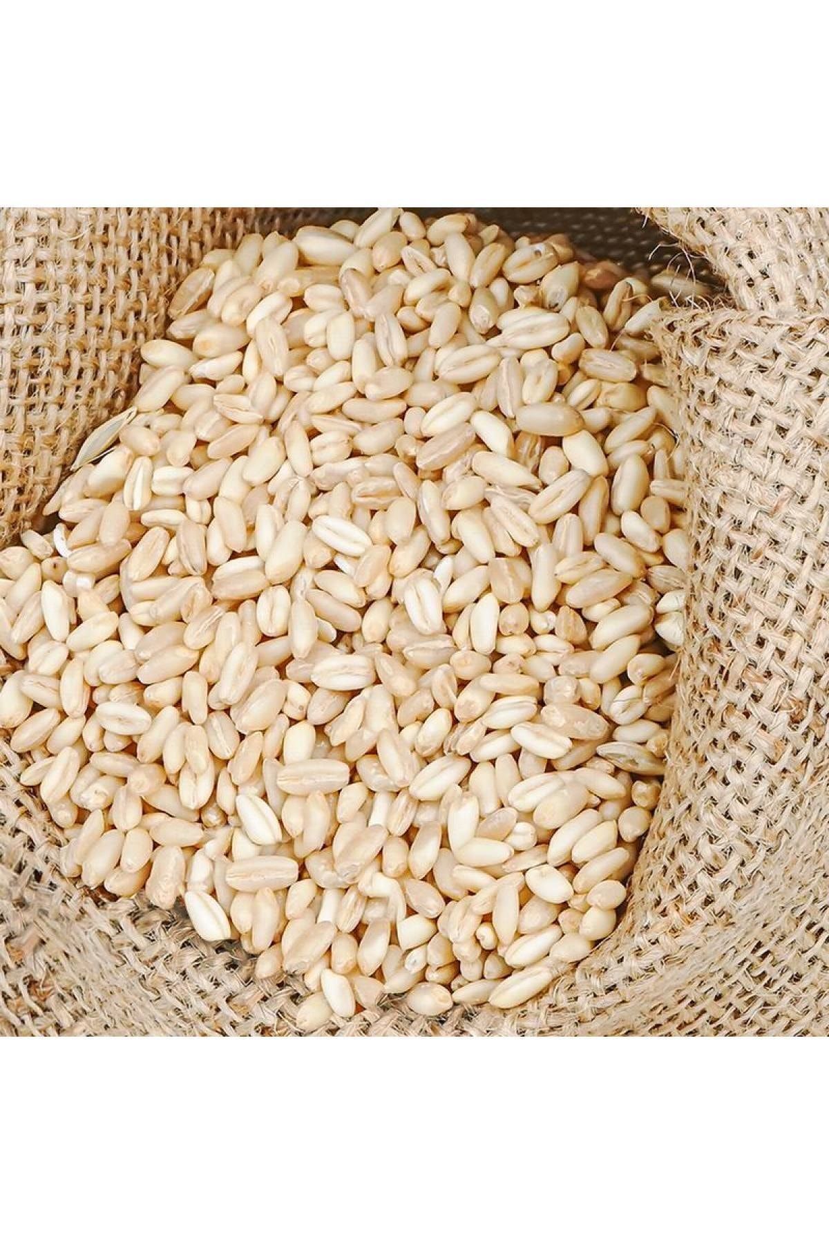 Organik Aile Aşurelik Buğday 1 kg