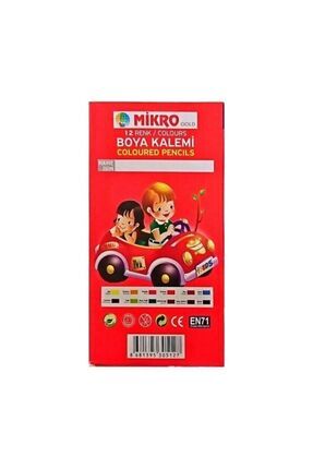 Kuru Boya Kalemi Uzun Boy 12 Renk Image 0
