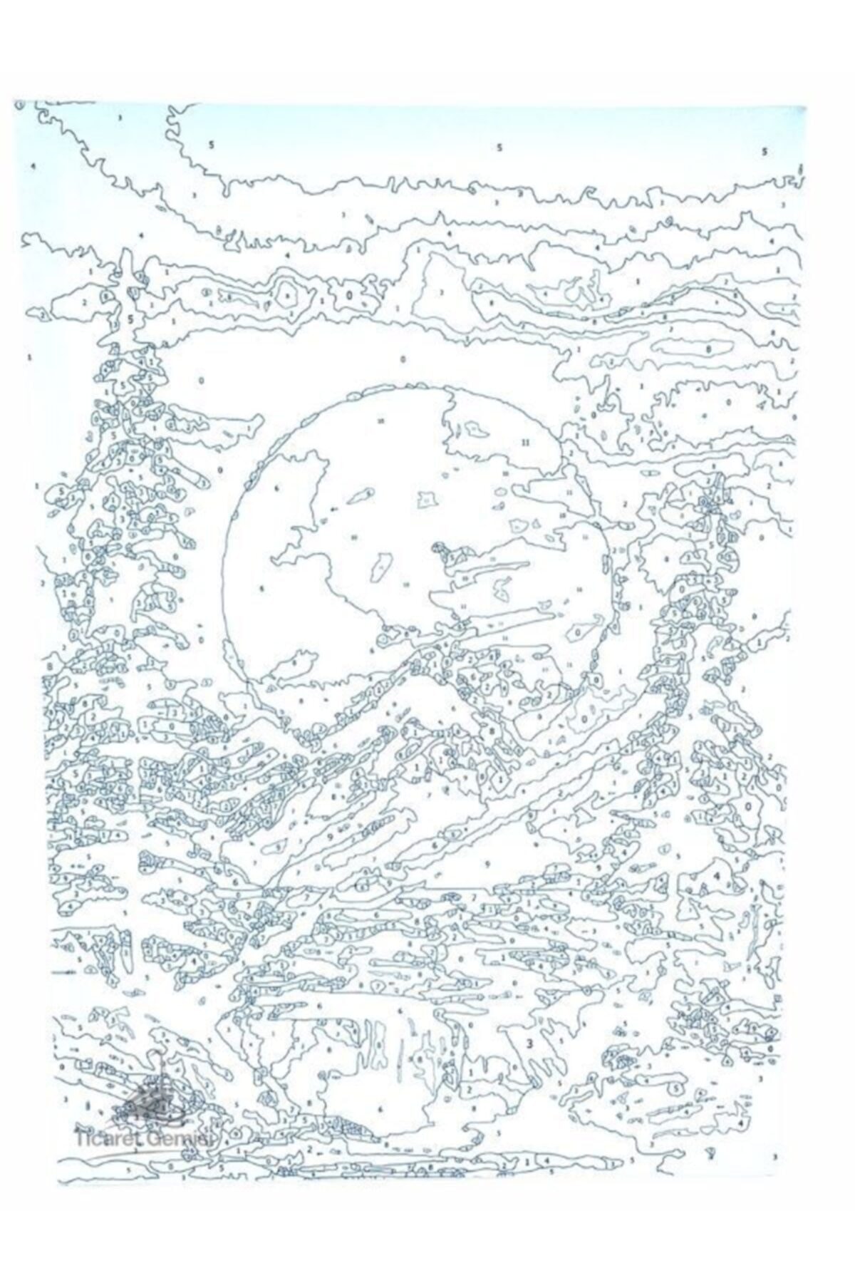 Ticaret Gemisi 35x50 Sovaleli Numaralarla Boyama Seti Firca Hediyeli 100 Pamuk Tuval Seklinde Cerceveli Fiyati Yorumlari Trendyol