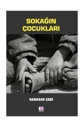 Sokağın Çocukları / Ramazan Çebi / E Yayınları / 9789753903752 Image 0