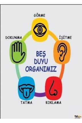 Beş Duyu Organımız Afişi (vinil) 35x50 Cm Image 0