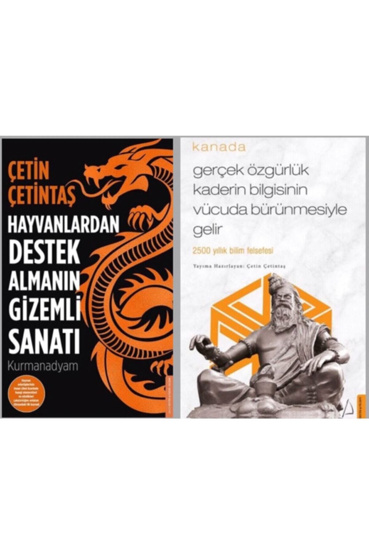 destek yayinlari hayvanlardan destek almanin gizemli sanati kanada biyografi cetin cetintas 2 kitap fiyati yorumlari trendyol