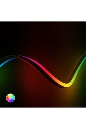 CT-4565 NEON LED 12 V RGB 5MT Image 0