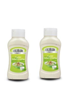 530 gr Sezar Salata Sos 2'li Image 0