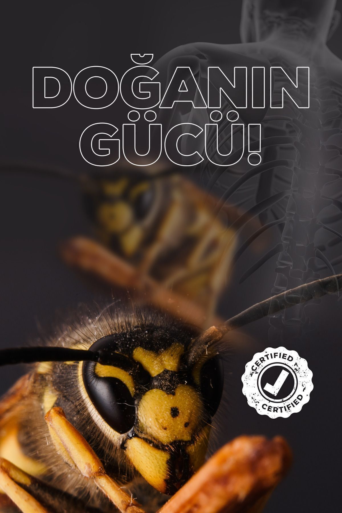 1_org_zoom.jpg