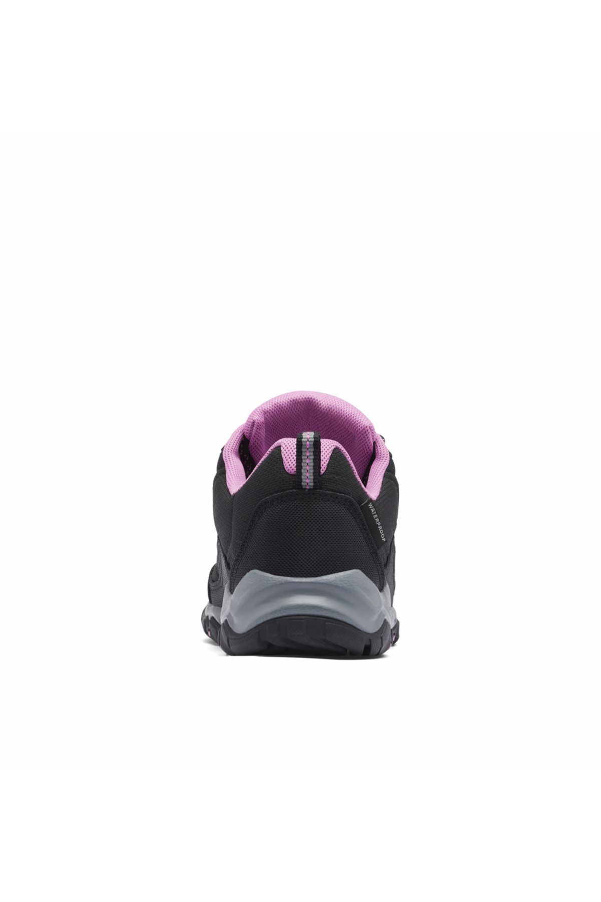 1_org_zoom.jpg