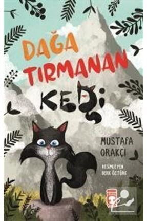 Dağa Tırmanan Kedi Image 0
