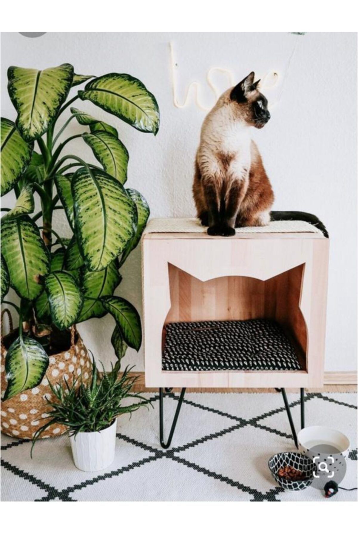 Mobexport Kedi Evi