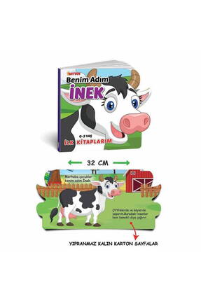 2188 Dıytoy Ben Kim Hayvanlar 6'Lı Eğitim Seti İlk kitaplarım 0-3 Yaş Image 3