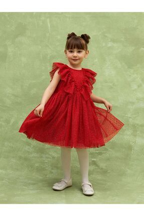 LCW baby Bisiklet Yaka Kız Bebek Tül Elbise Image 0