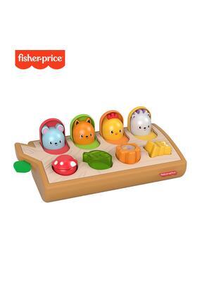 Fisher-Price Sürprizli Arkadaşlar GJW24 Image 0