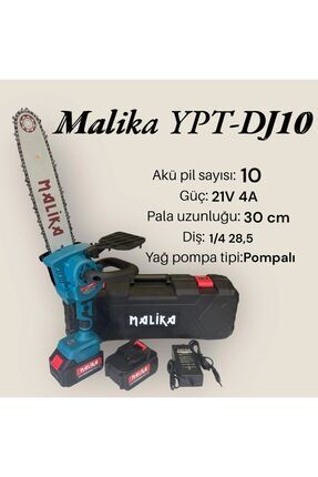 YPT-DJ10 Akülü Testere Çift Akülü 30cm Image 0