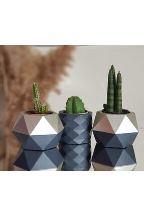 Siyah Gümüş 3'lü Set Saksı Kaktüs Ve Sukulent Saksısı -flora- Image 0