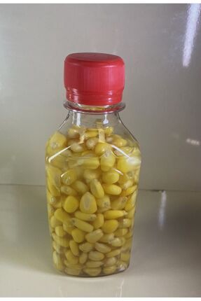 av Pet Şişede Süt Mısır Doğal Sazan Yemi Image 0