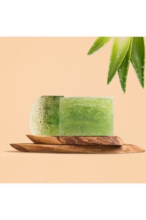 Kabak Lifli Aloe Vera Sabunu Gençlik Iksiri Image 0