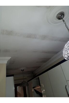 Ms 82 Rutubet Nem Küf Boyası 1 Kg Beyaz Image 3