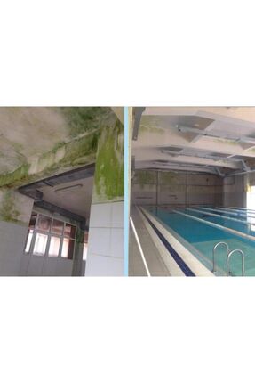 Ms 82 Rutubet Nem Küf Boyası 1 Kg Beyaz Image 6