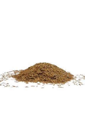 7 Günde Çimlenen Üzerine Basılabilir 6'lı Karışım Çim Tohumu -1 Kg Image 0