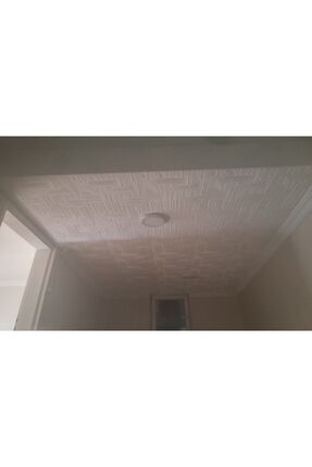 Tavan Kaplama Köpüğü Çizgi Model 50X50 1 ADET Image 3